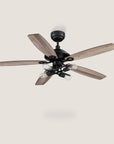 Cara DC Fan with Remote Control and Light