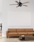 Cara DC Fan with Remote Control and Light