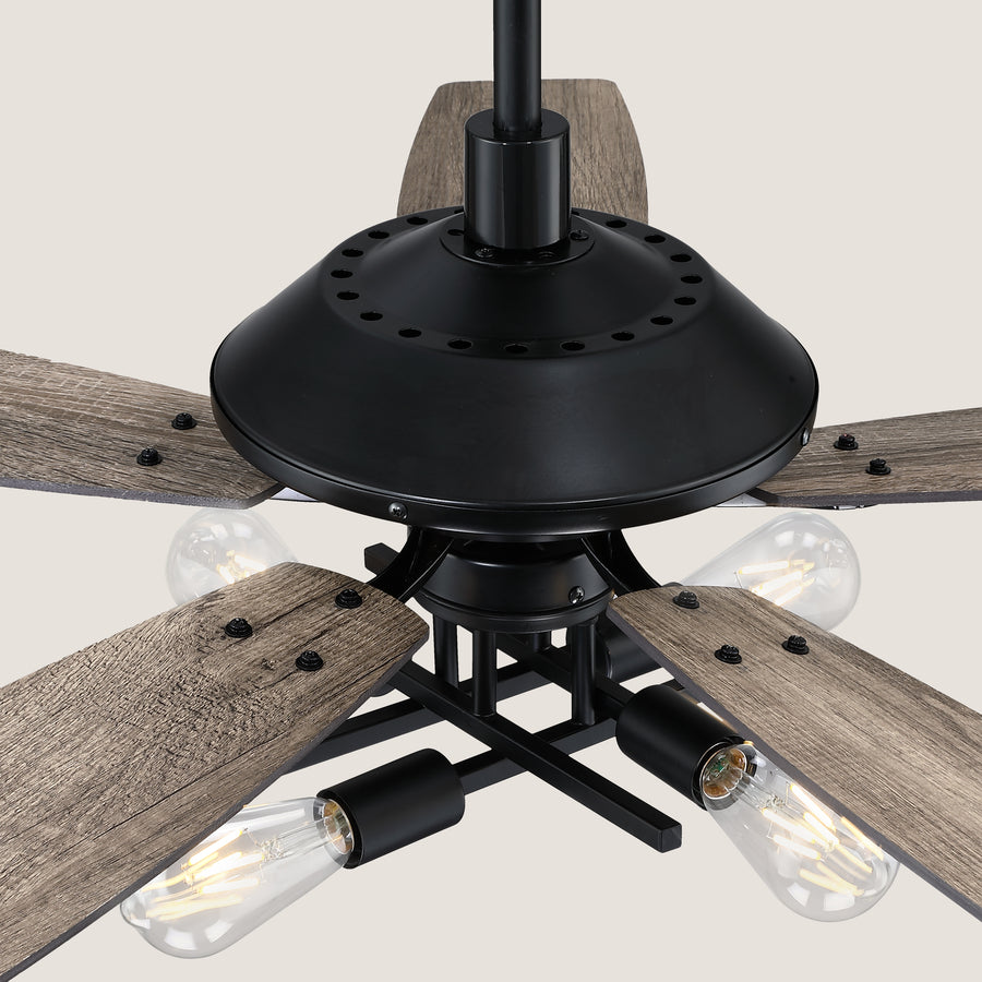 Cara DC Fan with Remote Control and Light