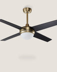 Dione 48" AC Ceiling Fan with LED Light and Wall Control