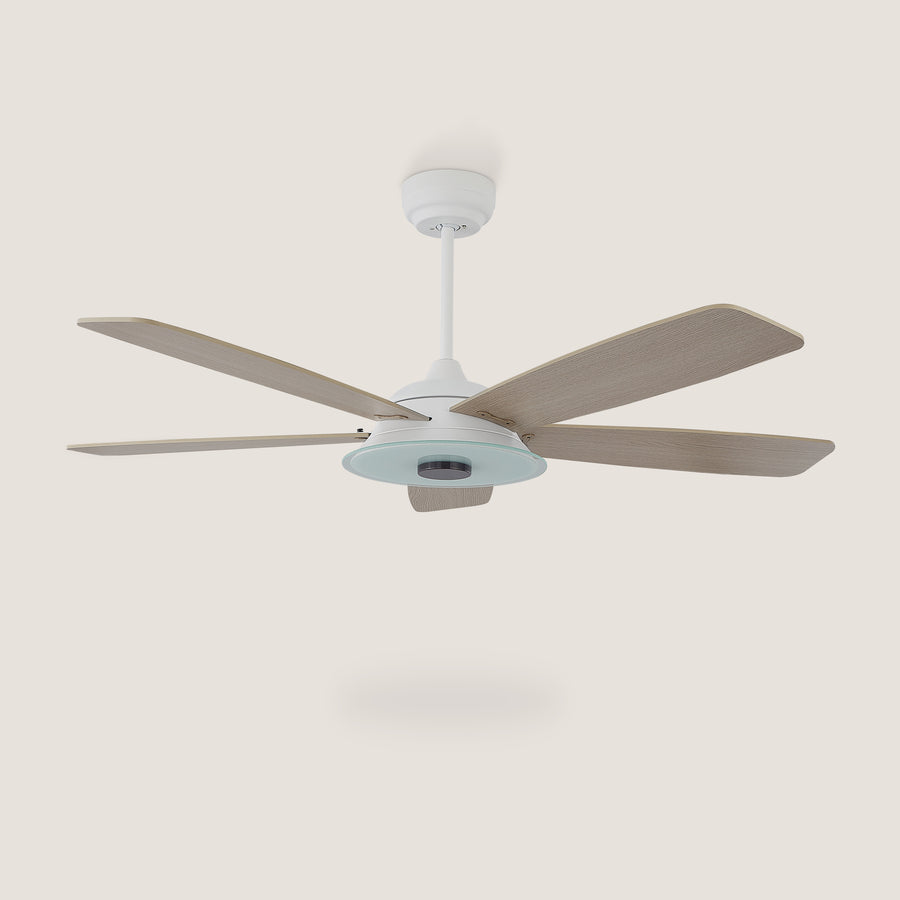 Kraz 56"  Smart DC Fan with Dimmable Light and Remote Control