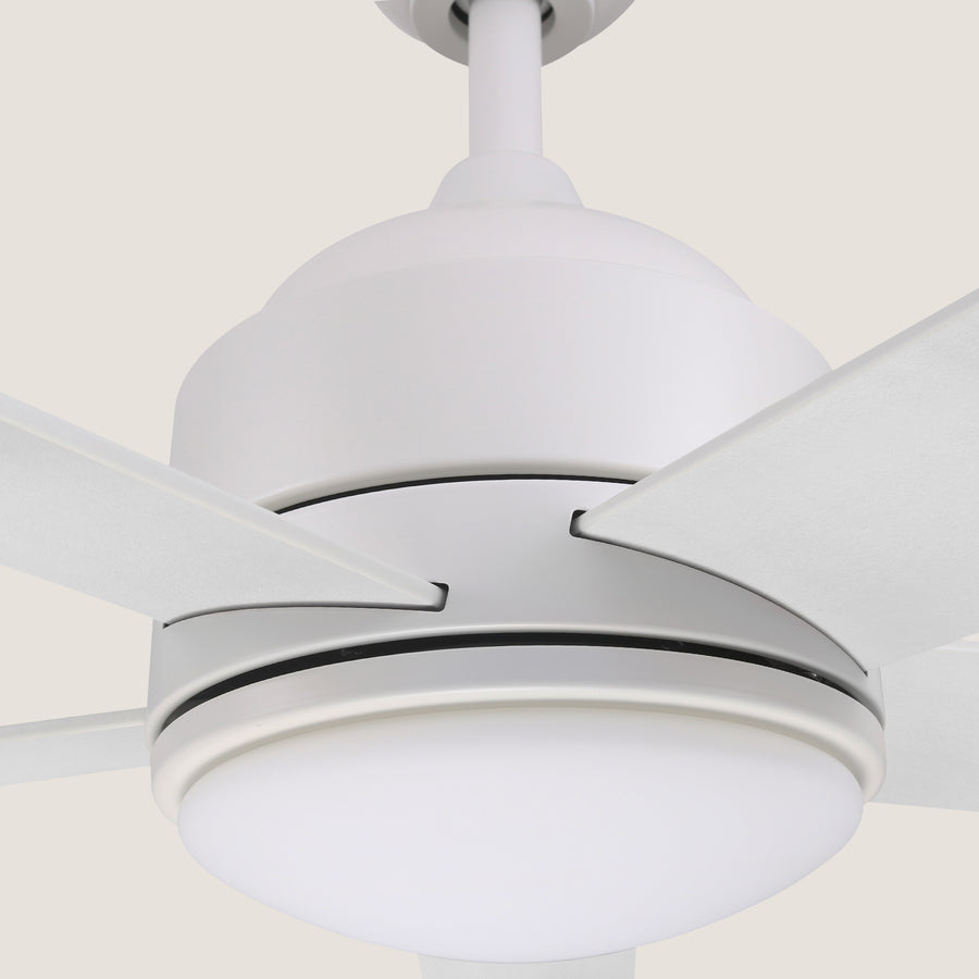 Magi 52" DC Smart Ceiling Fan With LED Light and Wall Control