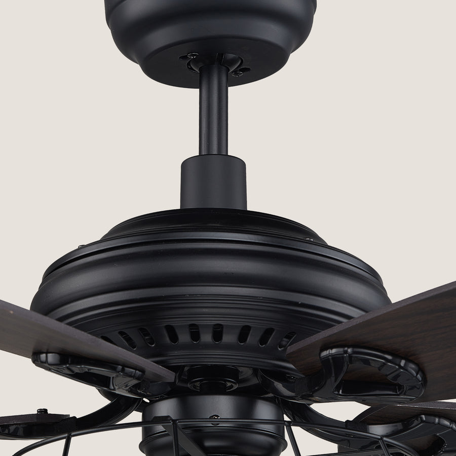 Merak 56" DC Ceiling Fan with Light and Remote Control