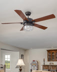 Mira AC Ceiling Fan with Light and Wall Switch Control