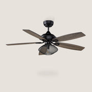 Morava 52" DC Ceiling Fan with Light and Remote Control