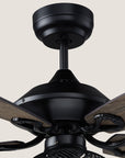 Morava 52" DC Ceiling Fan with Light and Remote Control