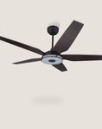 Naos 52" Smart DC Ceiling Fan with Remote Control and LED Light