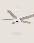 Naos  56" Smart DC Ceiling Fan with Remote Control and LED Light