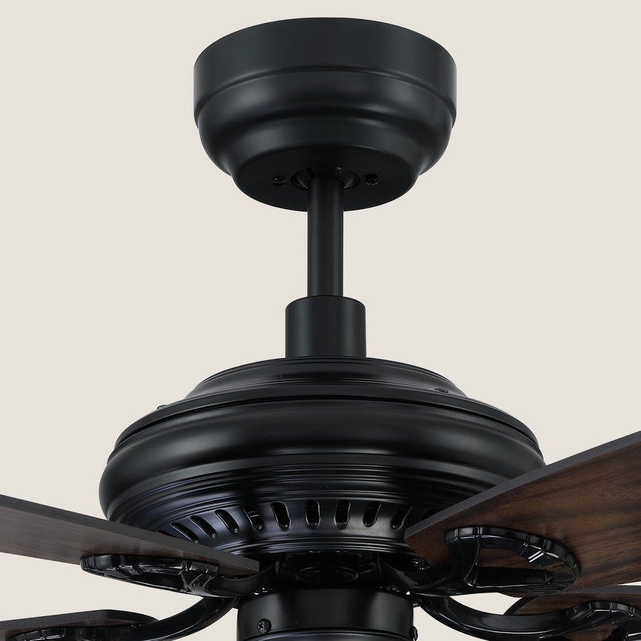 Nervia Remote Control DC Ceiling Fan with Light