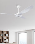 Polaris 56" Remote Control DC Smart Ceiling Fan with LED Light Kit