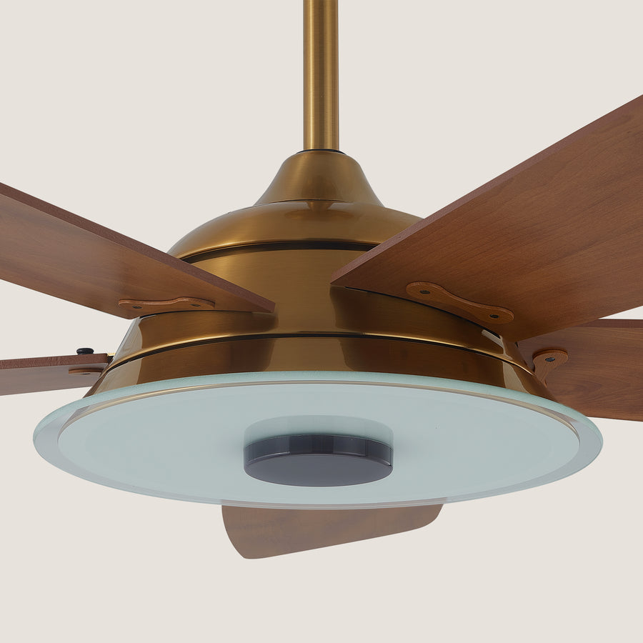 Kraz 56"  Smart DC Fan with Dimmable Light and Remote Control