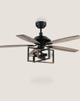 Zania DC Ceiling Fan with Light and Remote Control