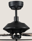 Zania DC Ceiling Fan with Light and Remote Control